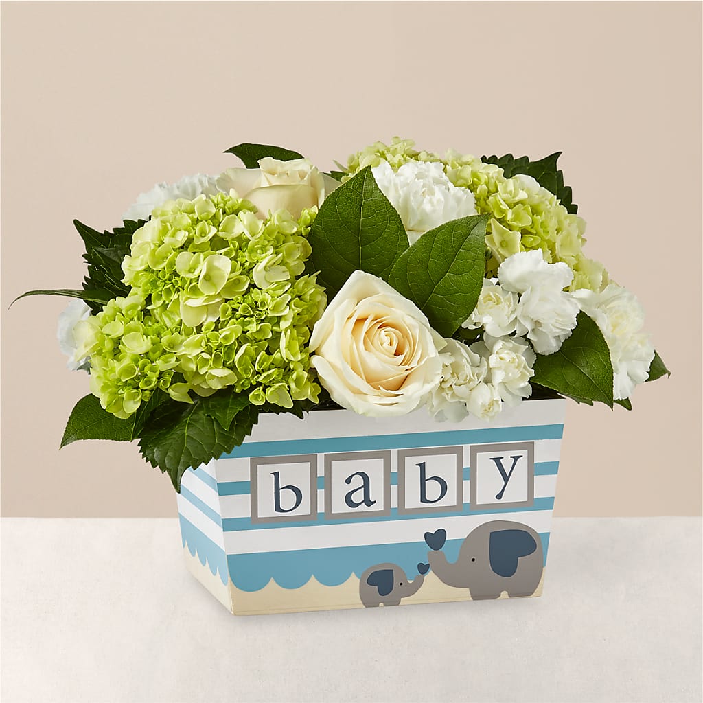 Darling Baby Boy Bouquet – Greenwich Blooms Florist Inc, Greenwich CT