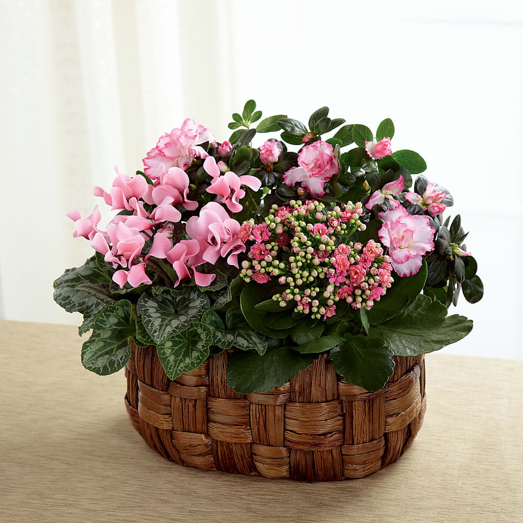 Pink Assortment – Greenwich Blooms Florist Inc, Greenwich CT