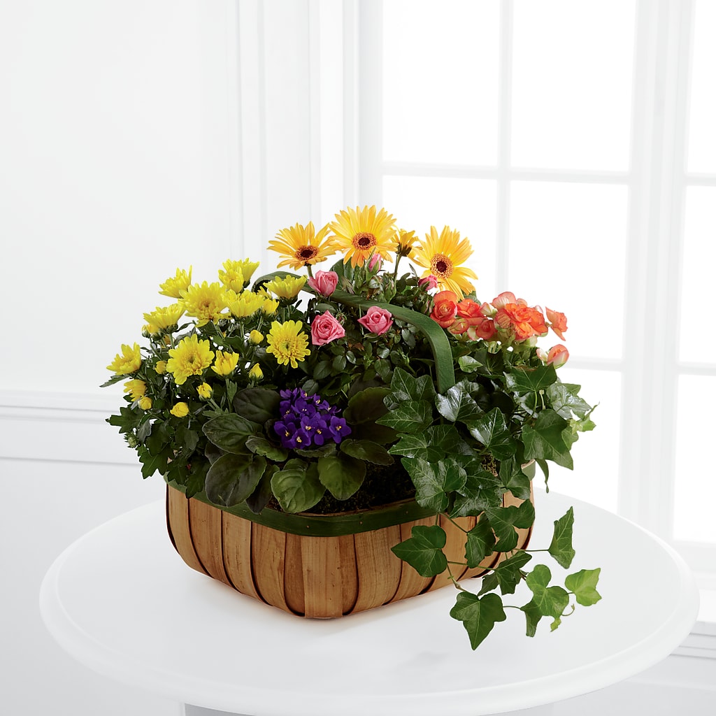 Gentle Blossoms Basket – Greenwich Blooms Florist Inc, Greenwich CT