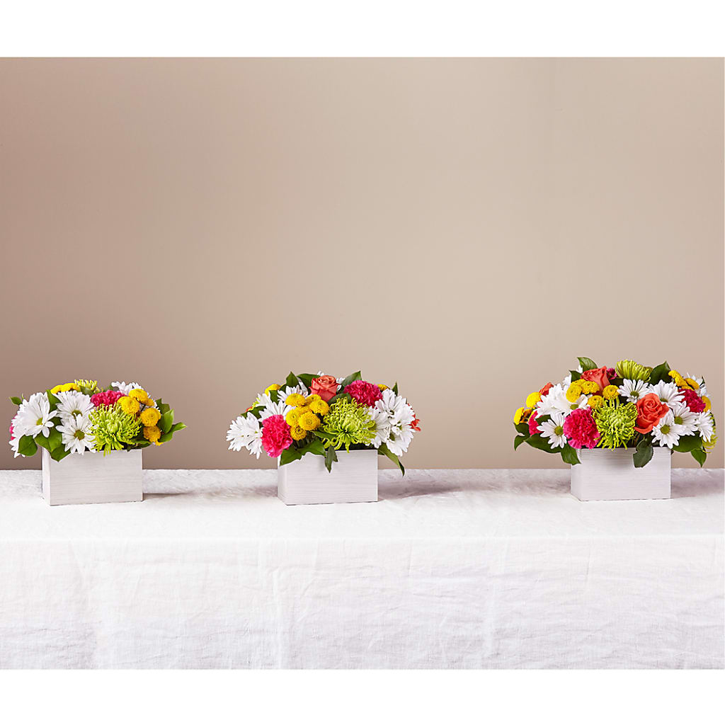 Sorbet Bouquet – Greenwich Blooms Florist Inc, Greenwich CT