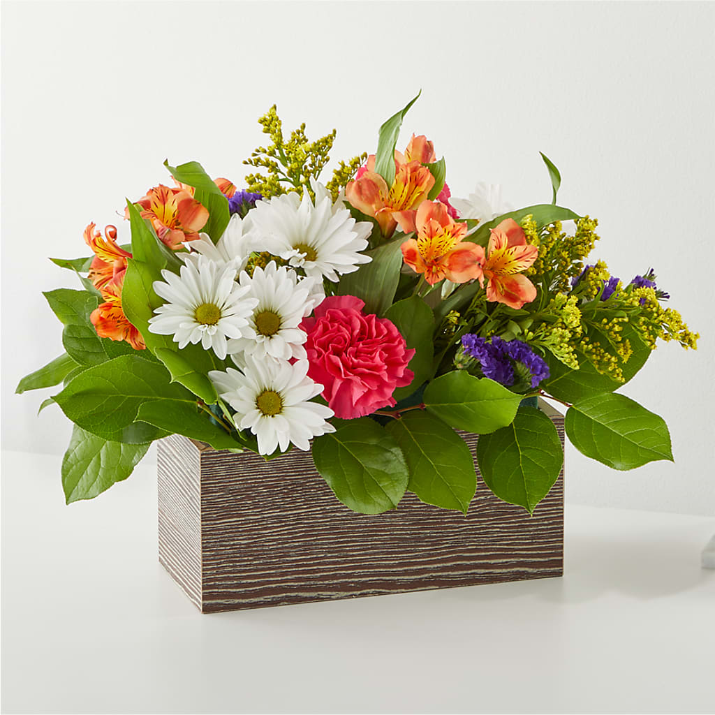 Oopsie Daisy Box Bouquet – Greenwich Blooms Florist Inc, Greenwich CT