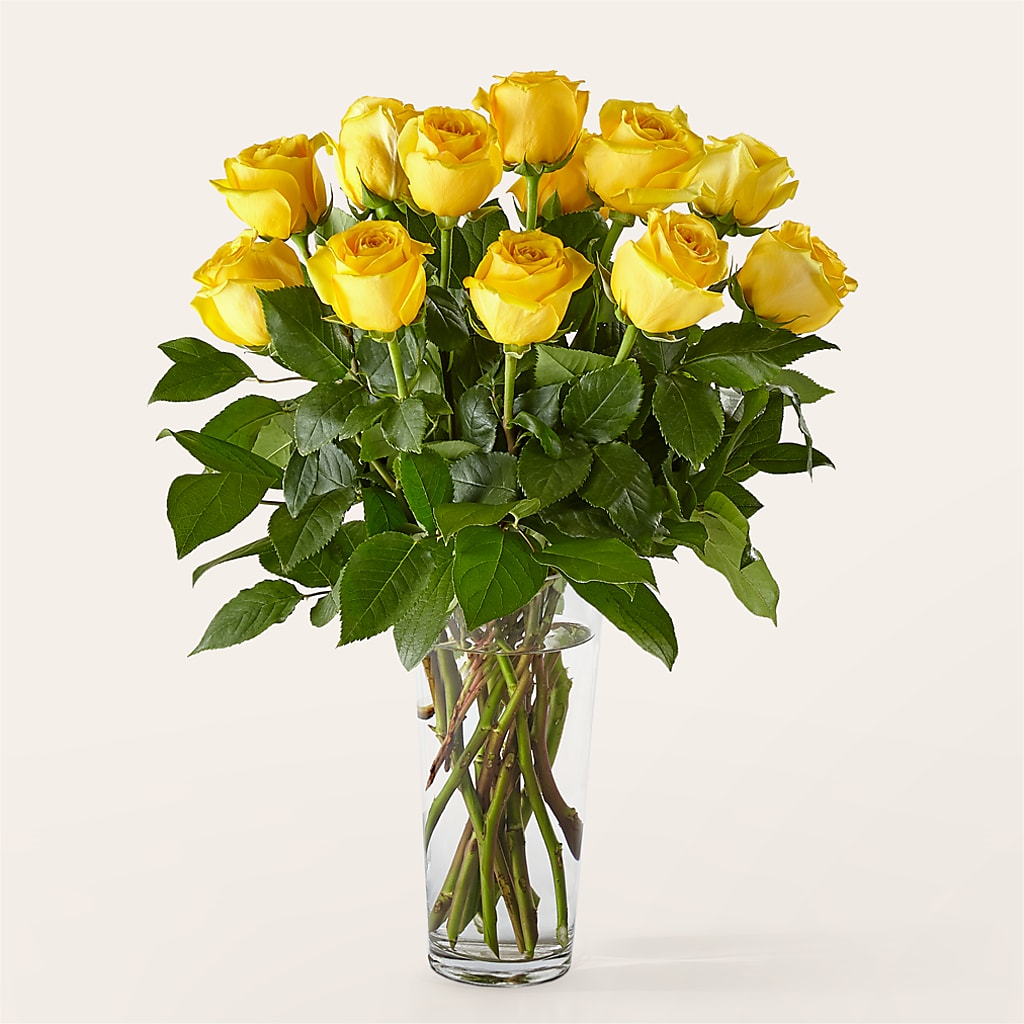 Long Stem Yellow Rose Bouquet – Greenwich Blooms Florist Inc, Greenwich CT