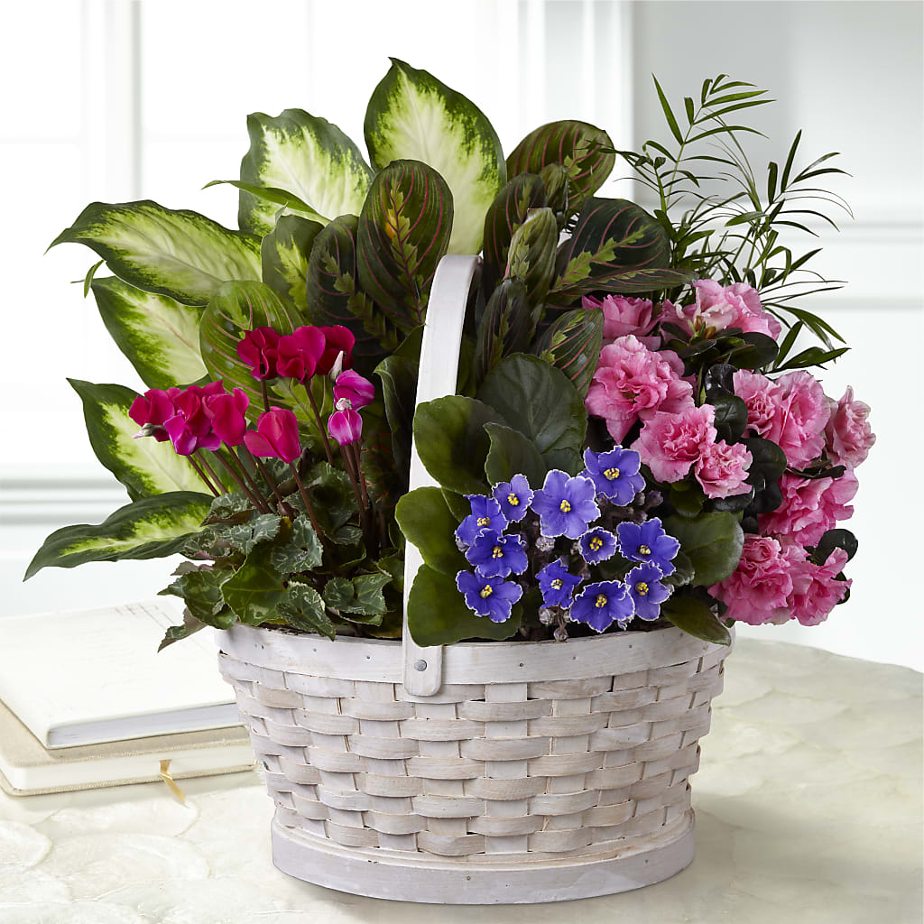 Peaceful Garden Planter – Greenwich Blooms Florist Inc, Greenwich CT