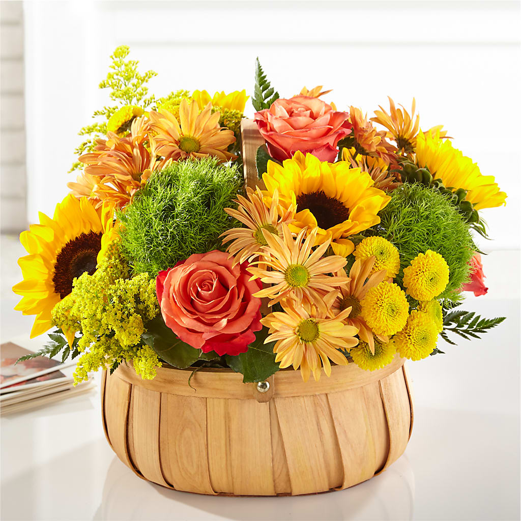 Harvest Sunflower Basket – Greenwich Blooms Florist Inc, Greenwich CT