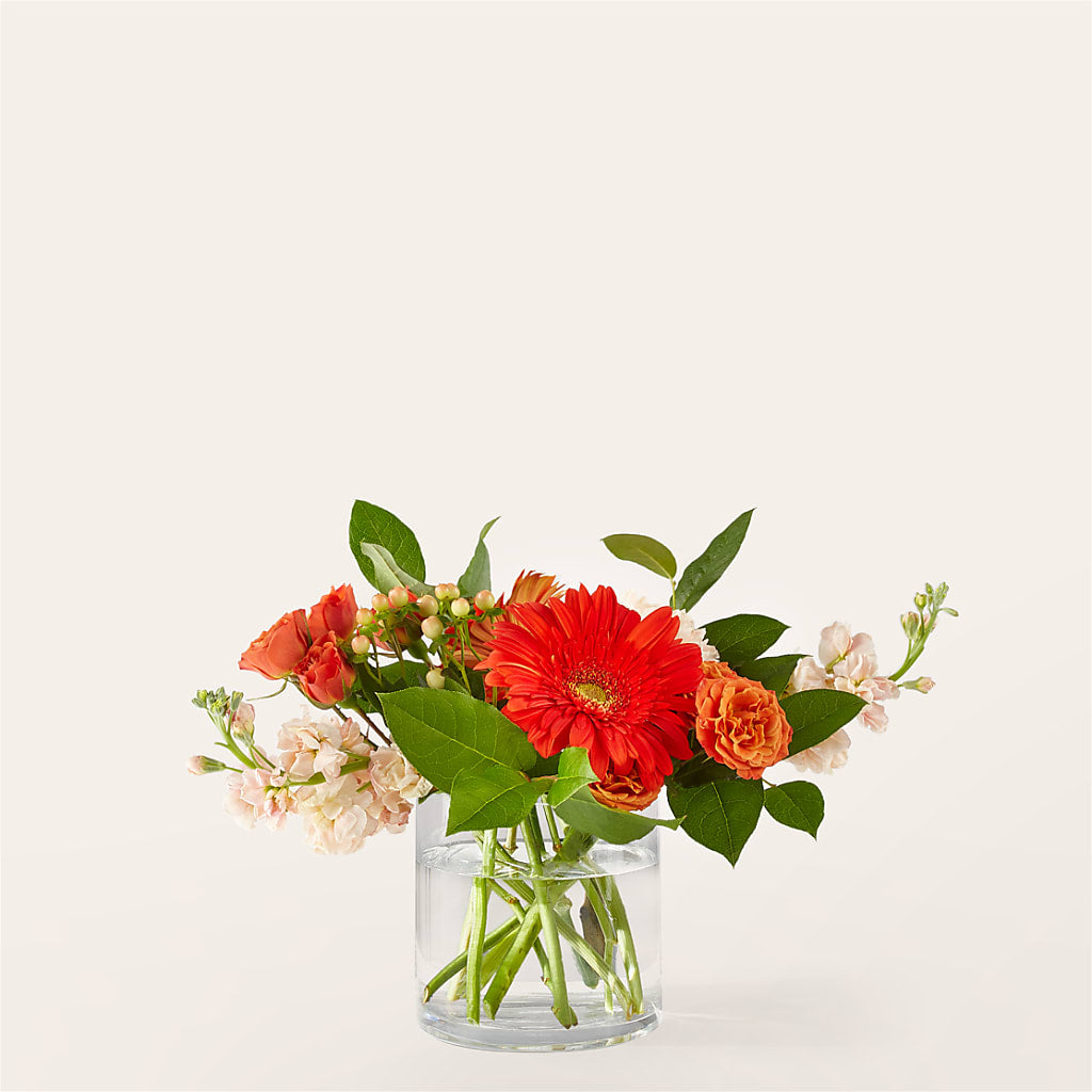 Paloma Please Bouquet – Greenwich Blooms Florist Inc, Greenwich CT