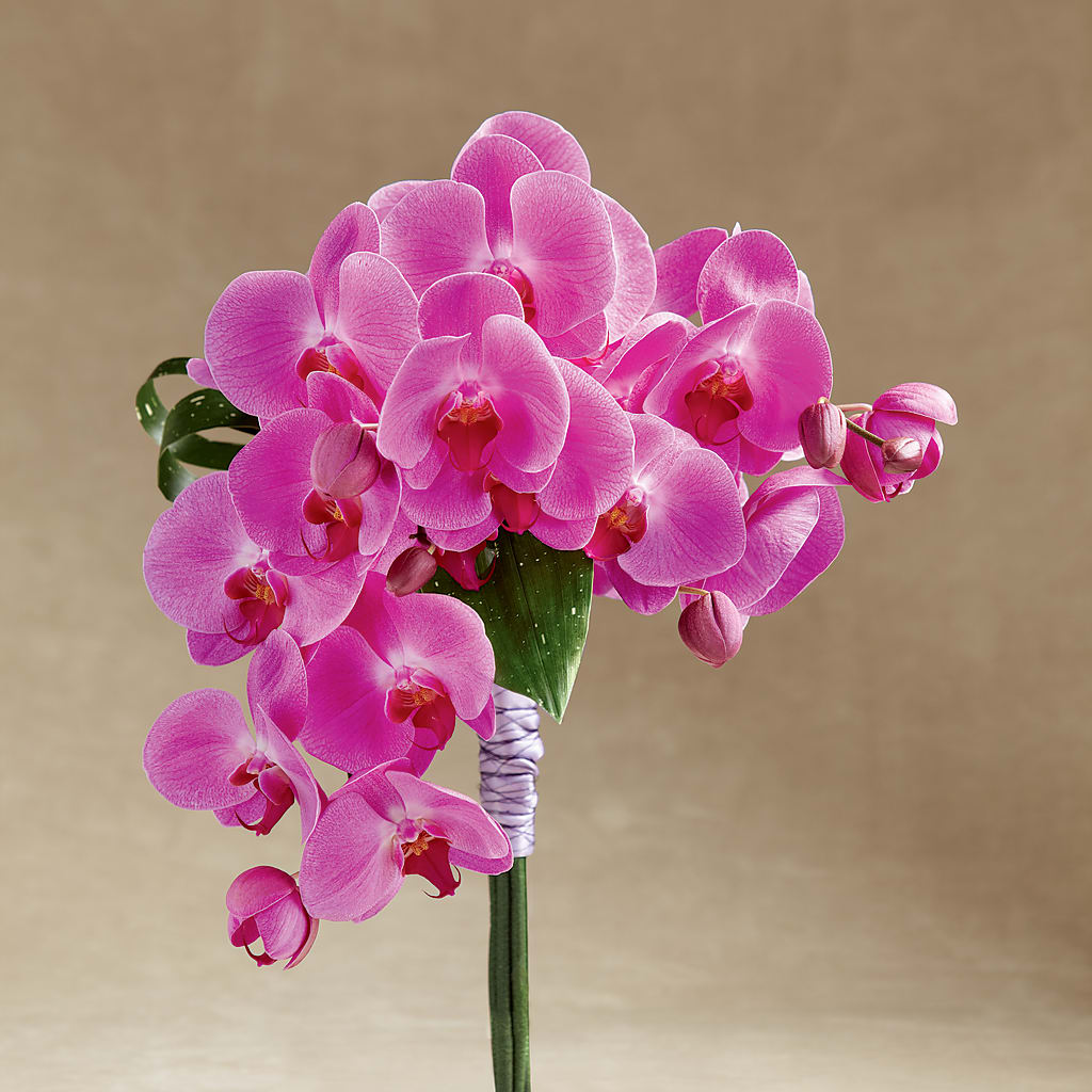 Glorious Bouquet – Greenwich Blooms Florist Inc, Greenwich CT