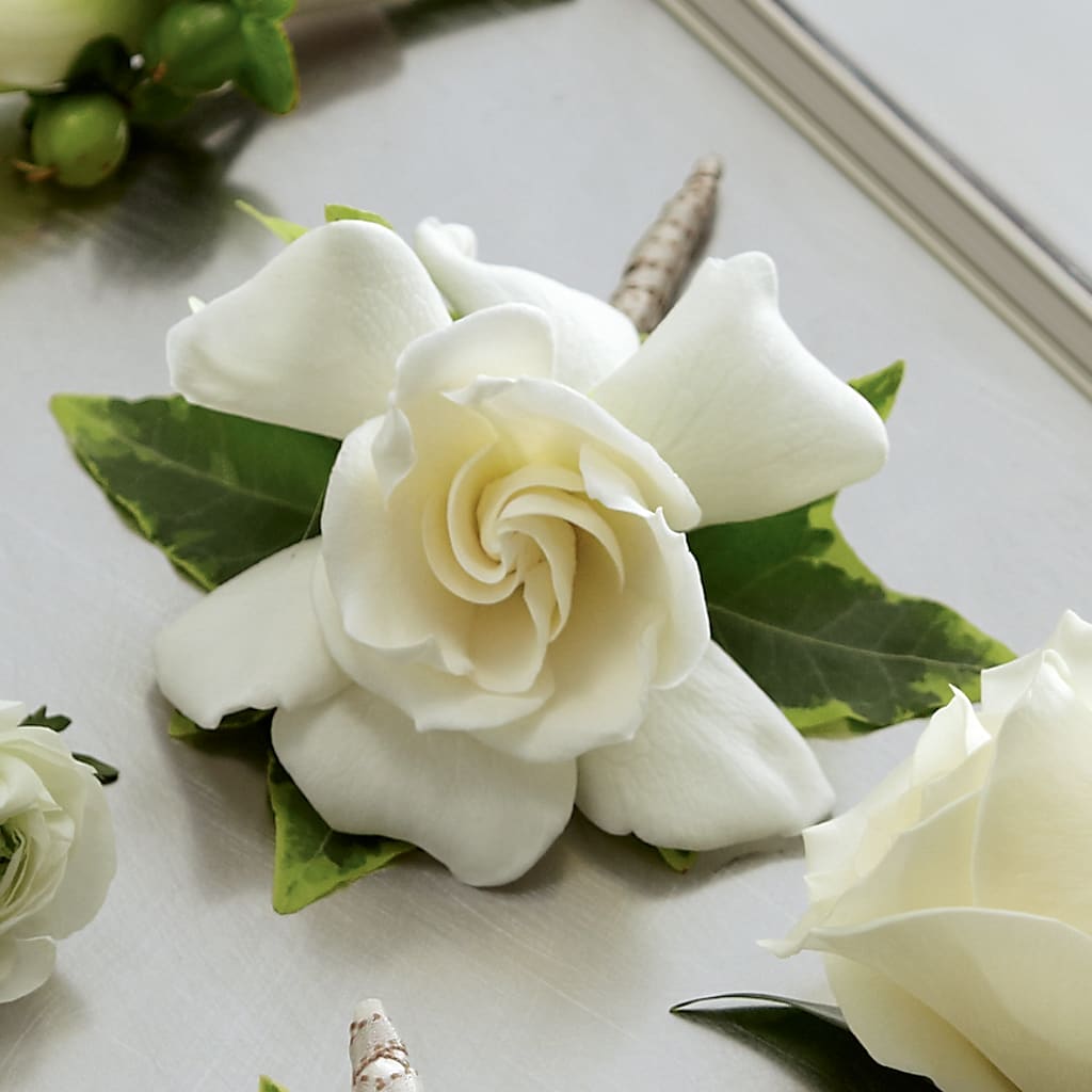 Gardenia Boutonniere – Greenwich Blooms Florist Inc, Greenwich CT