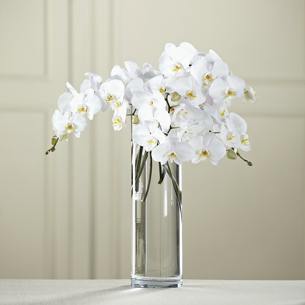 White Phalaenopsis Bouquet – Greenwich Blooms Florist Inc, Greenwich CT