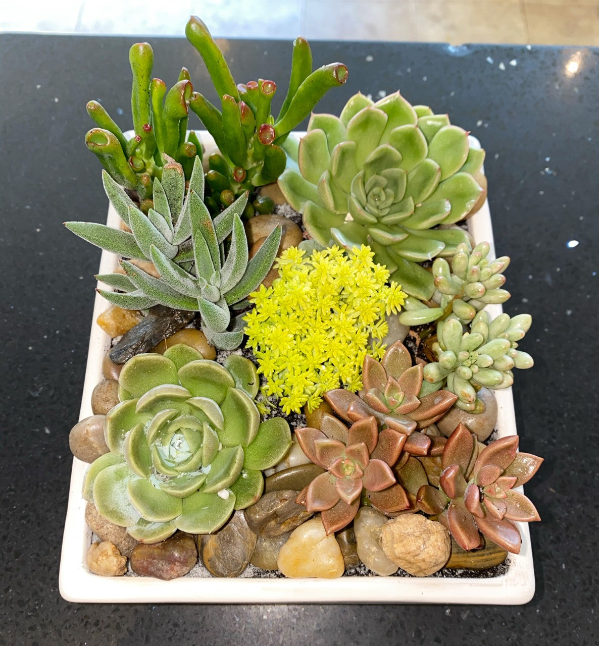 Zen Garden – Greenwich Blooms Florist Inc, Greenwich CT