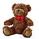 Adorable Plush Bear –  Greenwich Blooms Florist Inc, Greenwich CT