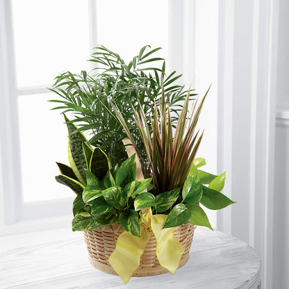 French Garden –  Greenwich Blooms Florist Inc, Greenwich CT