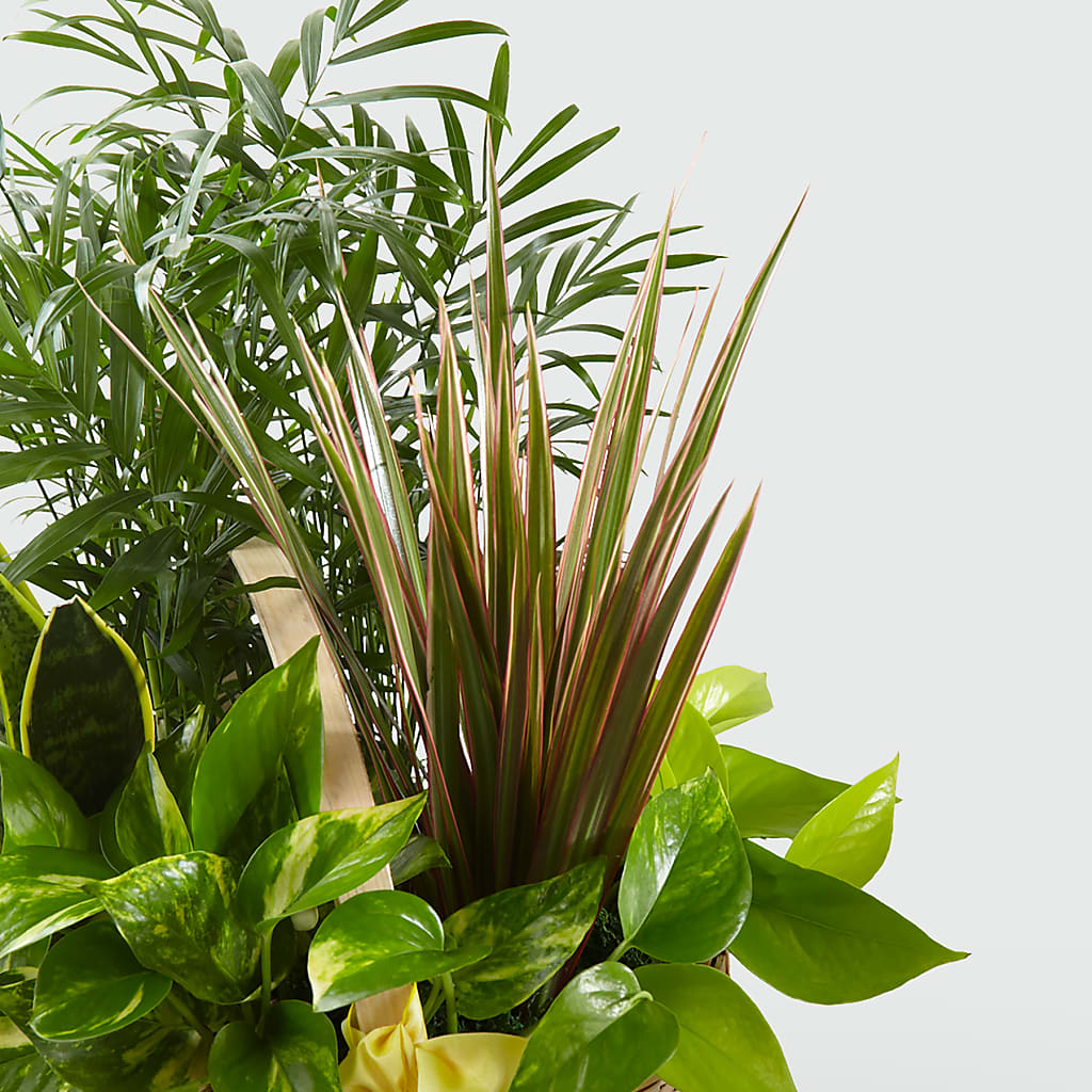 French Garden –  Greenwich Blooms Florist Inc, Greenwich CT