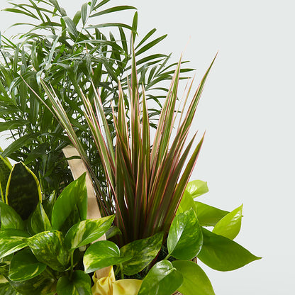 French Garden –  Greenwich Blooms Florist Inc, Greenwich CT
