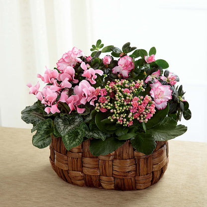 Pink Assortment –  Greenwich Blooms Florist Inc, Greenwich CT