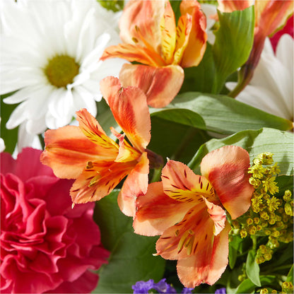 Oopsie Daisy Box Bouquet –  Greenwich Blooms Florist Inc, Greenwich CT