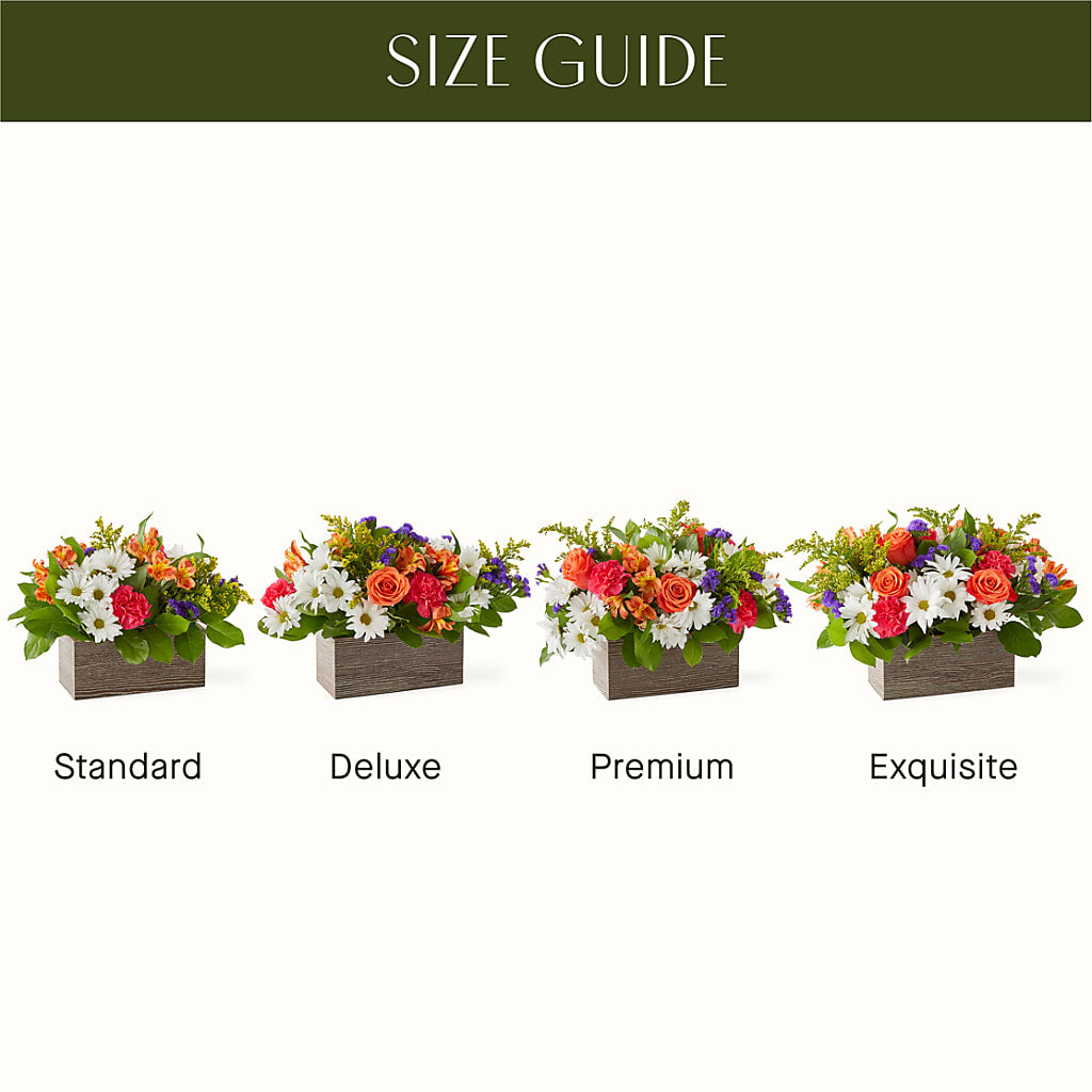 Oopsie Daisy Box Bouquet –  Greenwich Blooms Florist Inc, Greenwich CT
