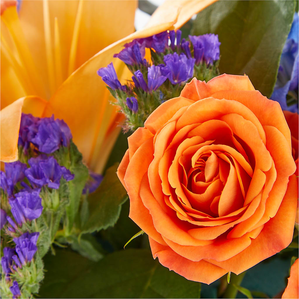 Radiant Citrus Box Bouquet –  Greenwich Blooms Florist Inc, Greenwich CT