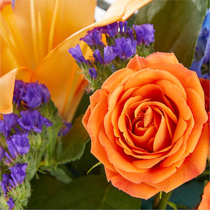 Radiant Citrus Box Bouquet –  Greenwich Blooms Florist Inc, Greenwich CT