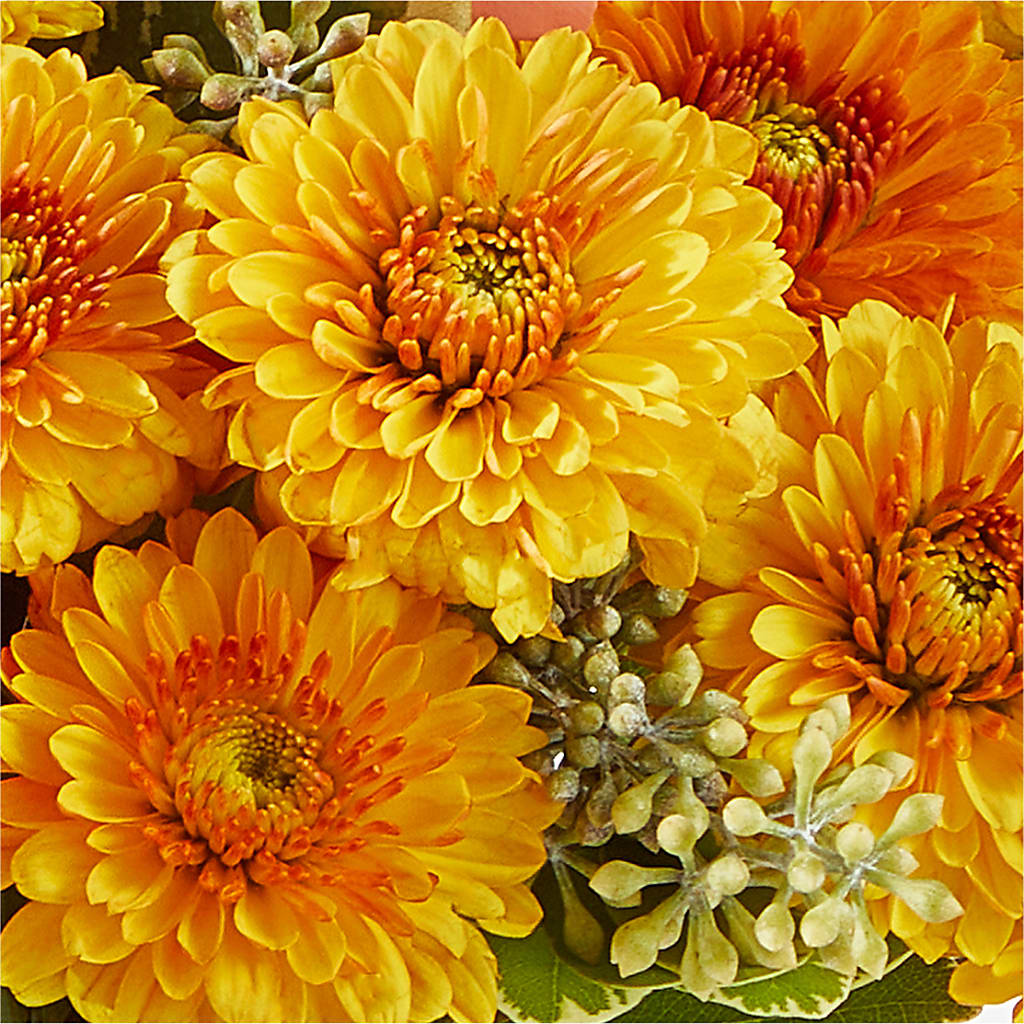 Peachy Pumpkin –  Greenwich Blooms Florist Inc, Greenwich CT