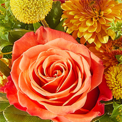 Gourdgeous Pumpkin –  Greenwich Blooms Florist Inc, Greenwich CT