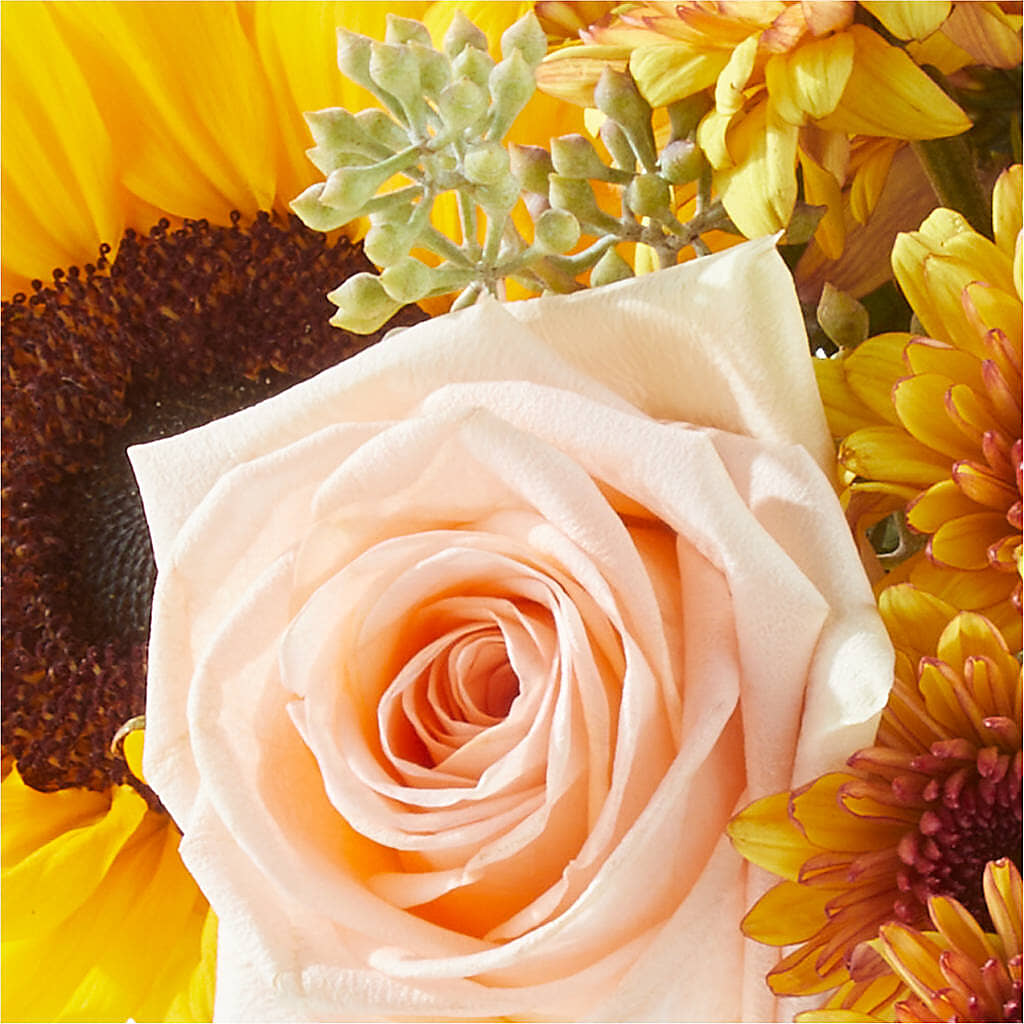 Pumpkin to Talk About Bouquet –  Greenwich Blooms Florist Inc, Greenwich CT