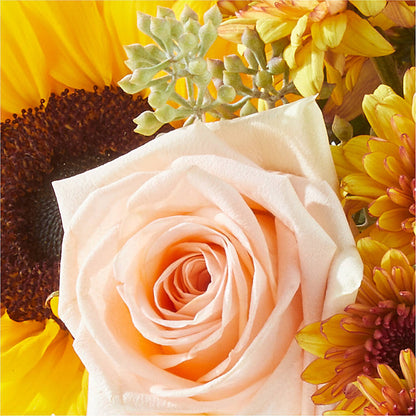 Pumpkin to Talk About Bouquet –  Greenwich Blooms Florist Inc, Greenwich CT