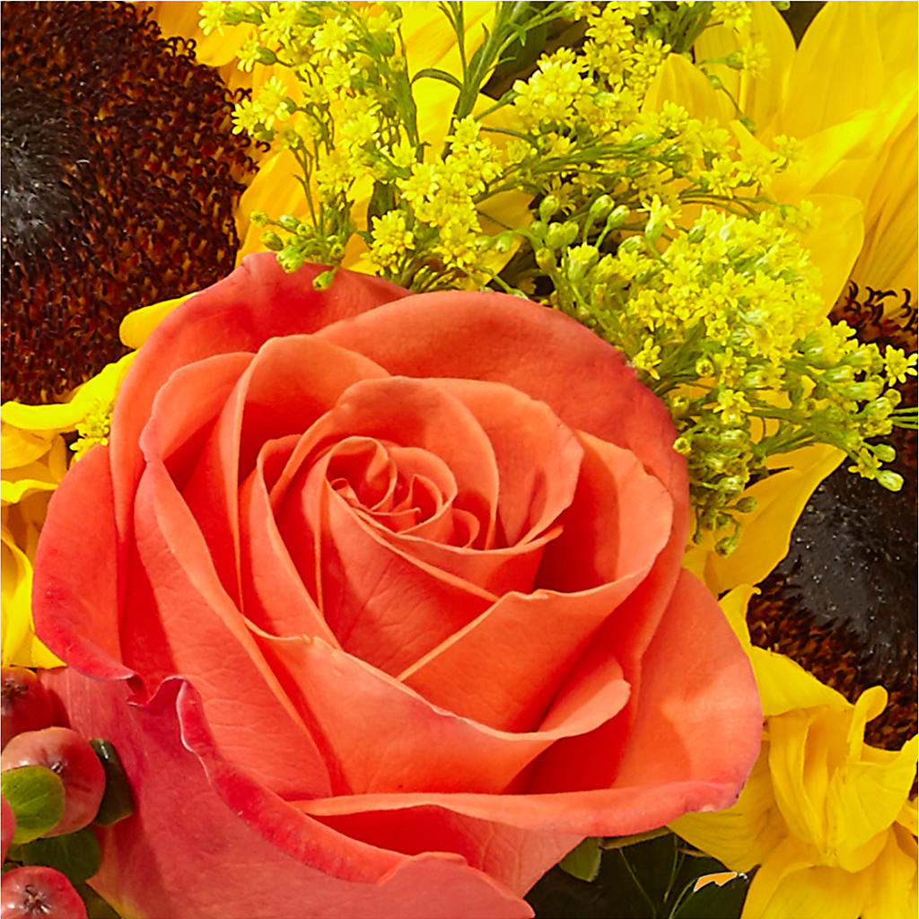 Pick of the Patch Pumpkin Bouquet –  Greenwich Blooms Florist Inc, Greenwich CT