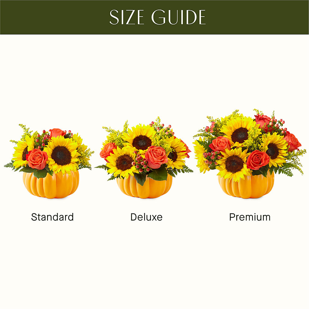 Pick of the Patch Pumpkin Bouquet –  Greenwich Blooms Florist Inc, Greenwich CT