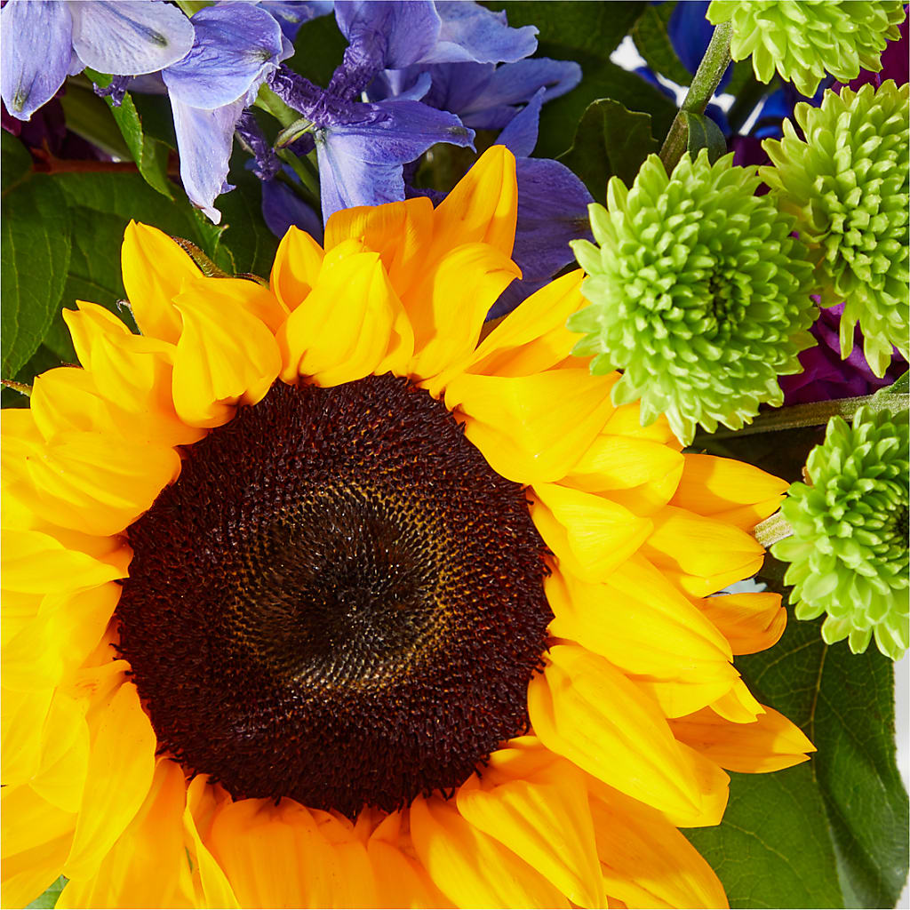 Catching Rays Bouquet –  Greenwich Blooms Florist Inc, Greenwich CT