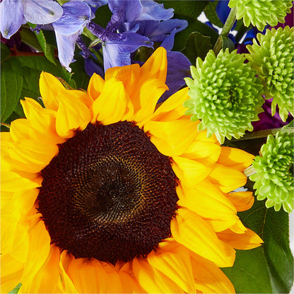 Catching Rays Bouquet –  Greenwich Blooms Florist Inc, Greenwich CT