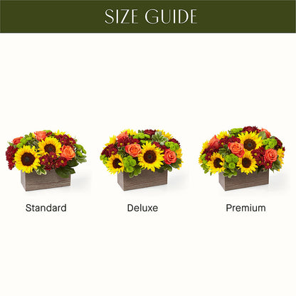 Happy Harvest Garden –  Greenwich Blooms Florist Inc, Greenwich CT