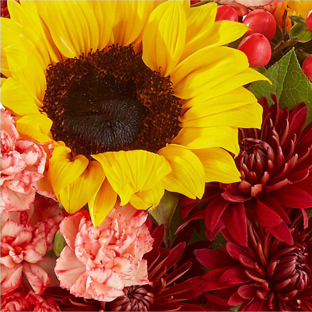 Fresh Cider Bouquet –  Greenwich Blooms Florist Inc, Greenwich CT
