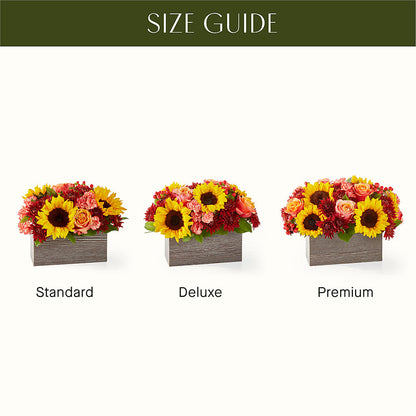 Fresh Cider Bouquet –  Greenwich Blooms Florist Inc, Greenwich CT