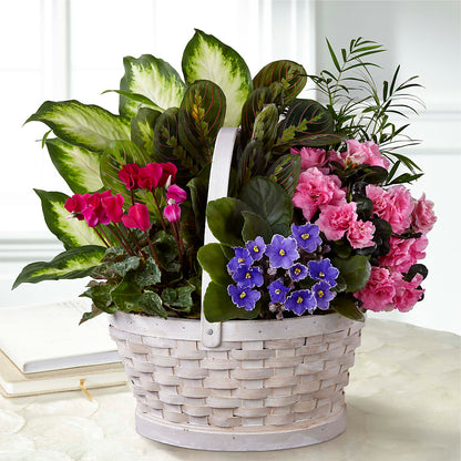 Peaceful Garden Planter –  Greenwich Blooms Florist Inc, Greenwich CT