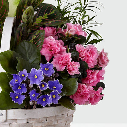 Peaceful Garden Planter –  Greenwich Blooms Florist Inc, Greenwich CT