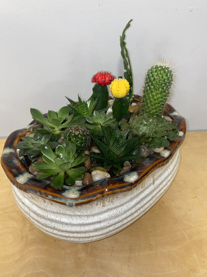 Succulent Island Paradise –  Greenwich Blooms Florist Inc, Greenwich CT
