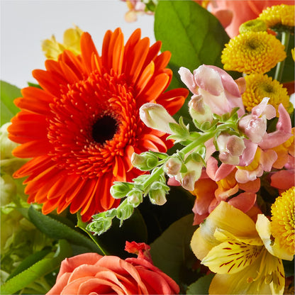 Autumn Sunshine Bouquet –  Greenwich Blooms Florist Inc, Greenwich CT