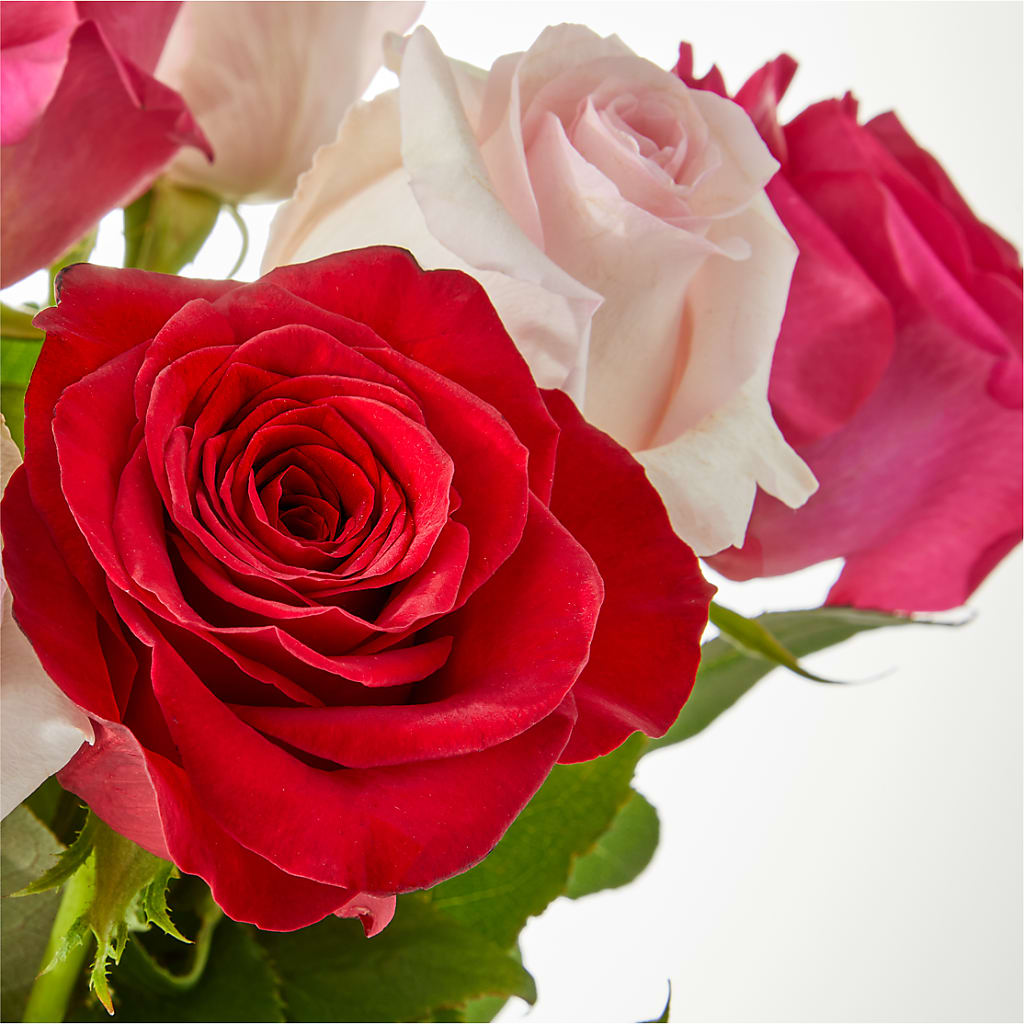 Charming Rose Bouquet –  Greenwich Blooms Florist Inc, Greenwich CT