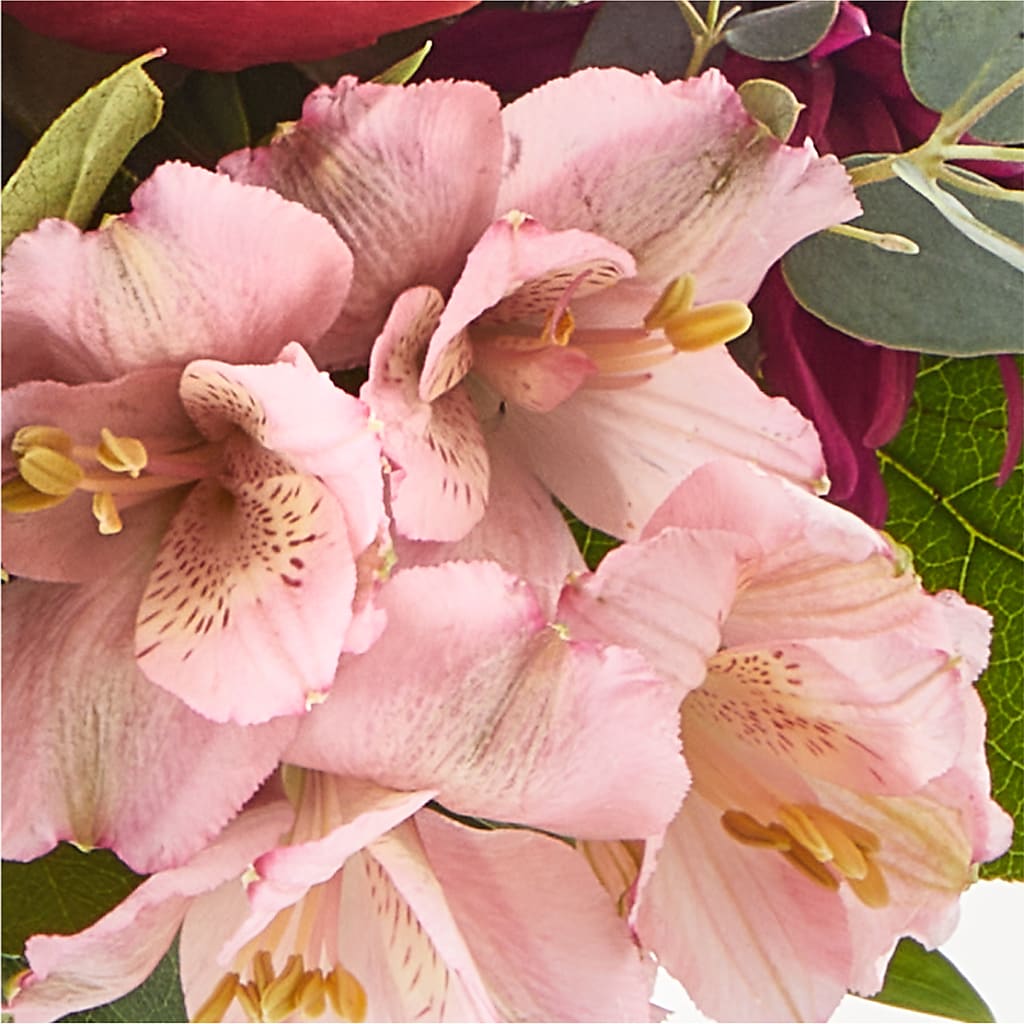 Berry Cobbler Bouquet –  Greenwich Blooms Florist Inc, Greenwich CT