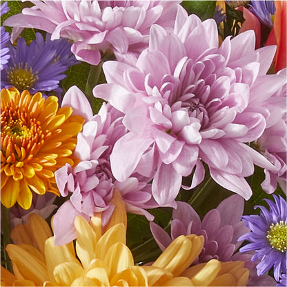 Countryside Bouquet –  Greenwich Blooms Florist Inc, Greenwich CT