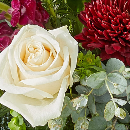Cranberry Fizz Bouquet –  Greenwich Blooms Florist Inc, Greenwich CT