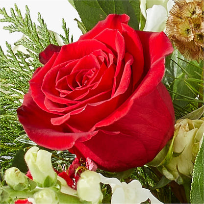 Deck the Halls Bouquet –  Greenwich Blooms Florist Inc, Greenwich CT