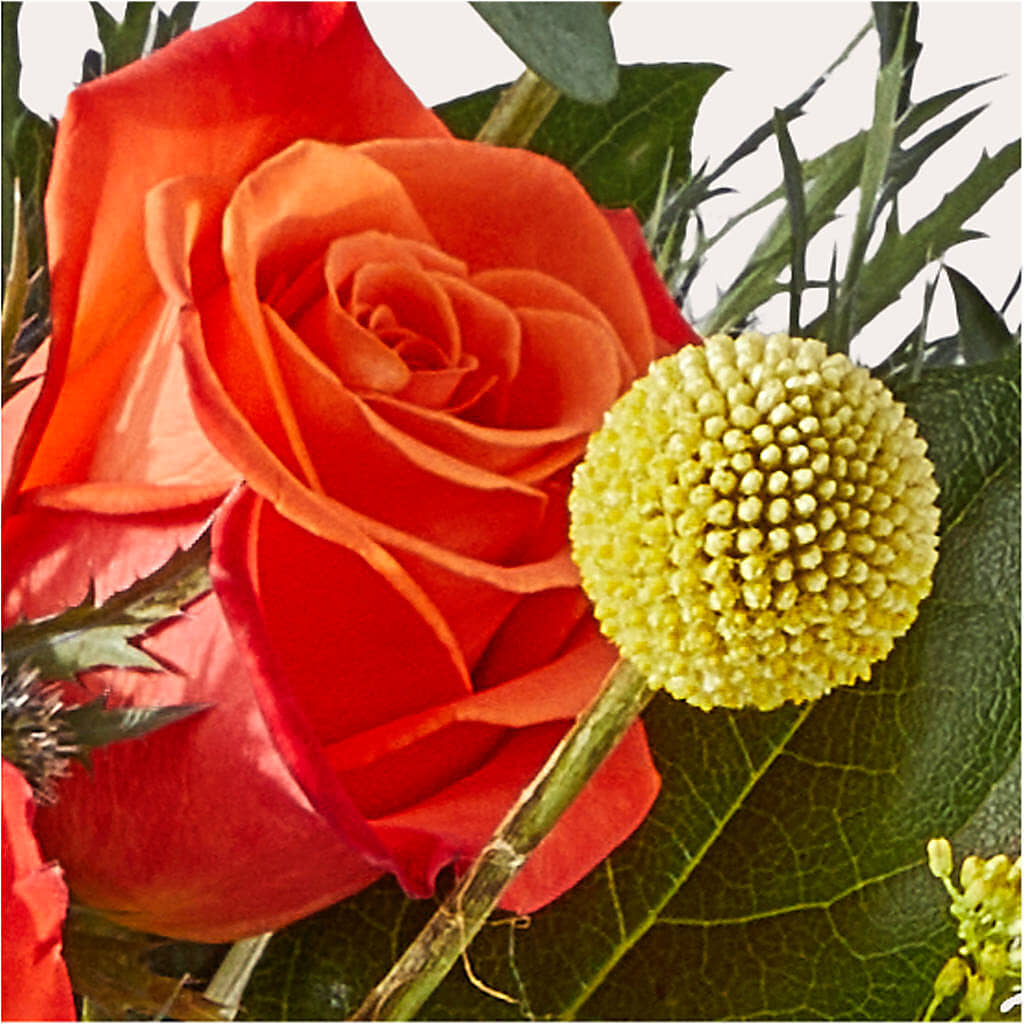Disco Bouquet –  Greenwich Blooms Florist Inc, Greenwich CT