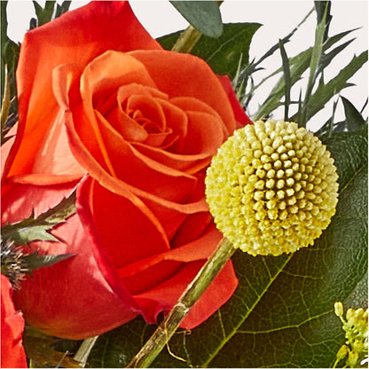 Disco Bouquet –  Greenwich Blooms Florist Inc, Greenwich CT
