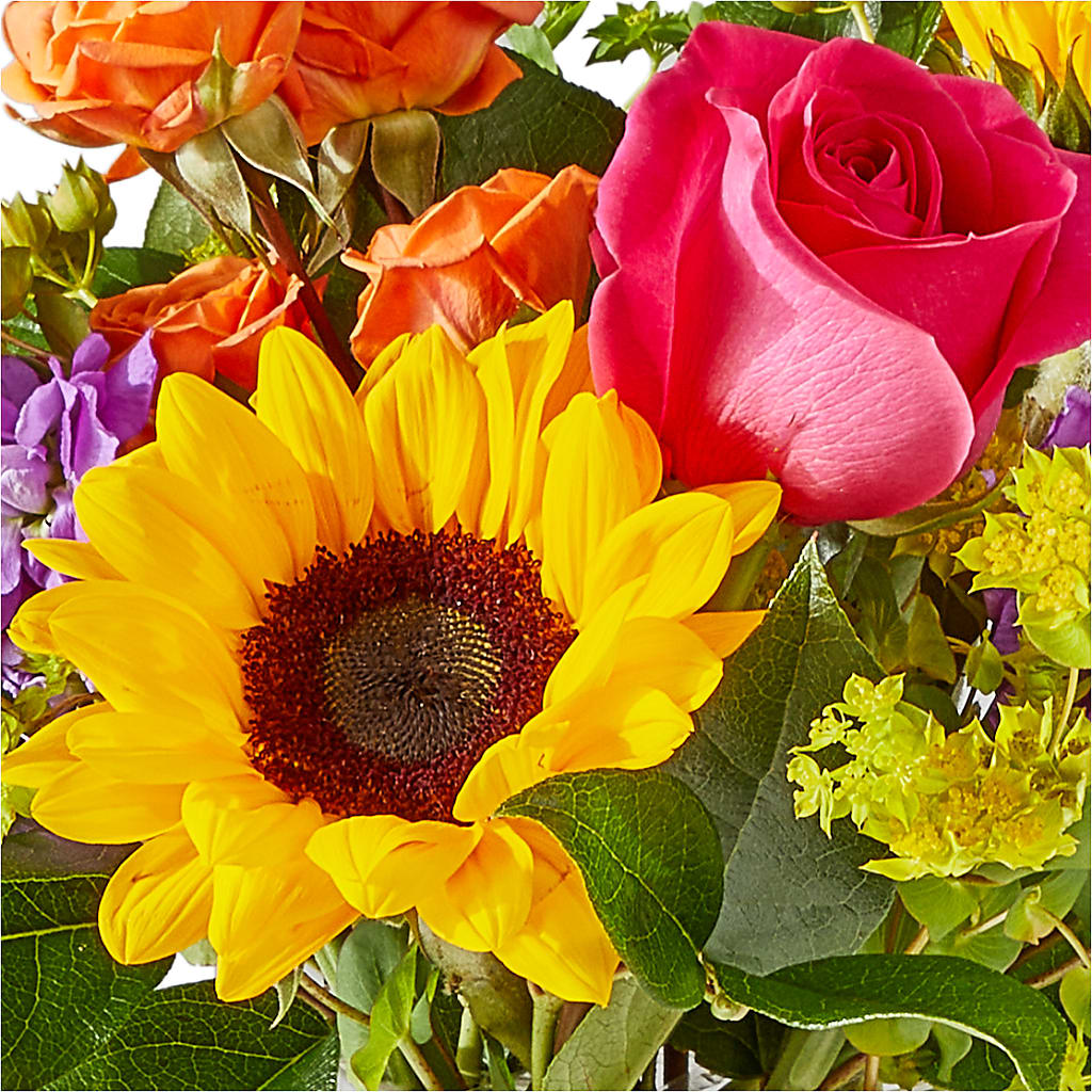 Vibrant Greetings Bouquet –  Greenwich Blooms Florist Inc, Greenwich CT