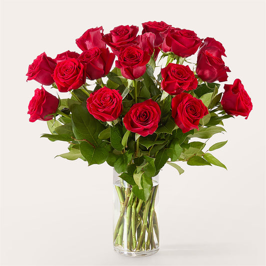 The One Red Rose Bouquet –  Greenwich Blooms Florist Inc, Greenwich CT