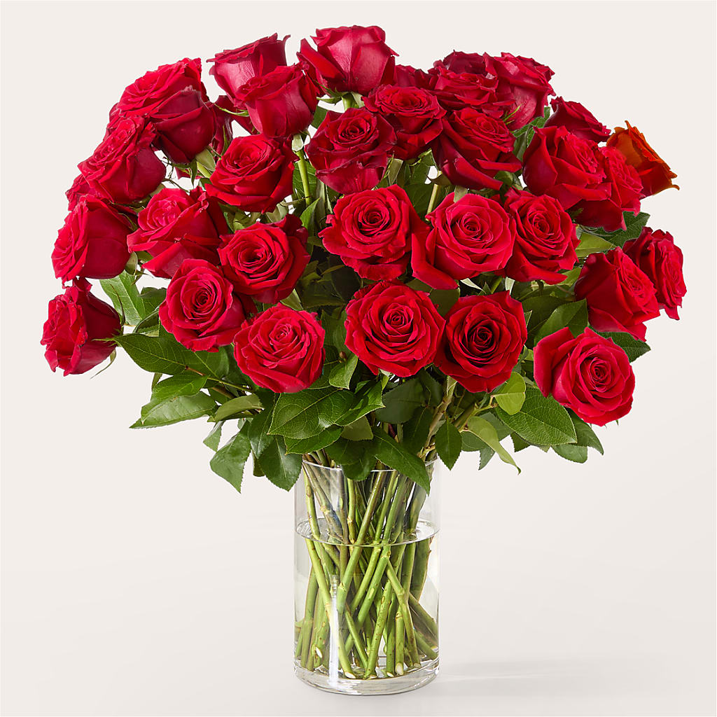 The One Red Rose Bouquet –  Greenwich Blooms Florist Inc, Greenwich CT