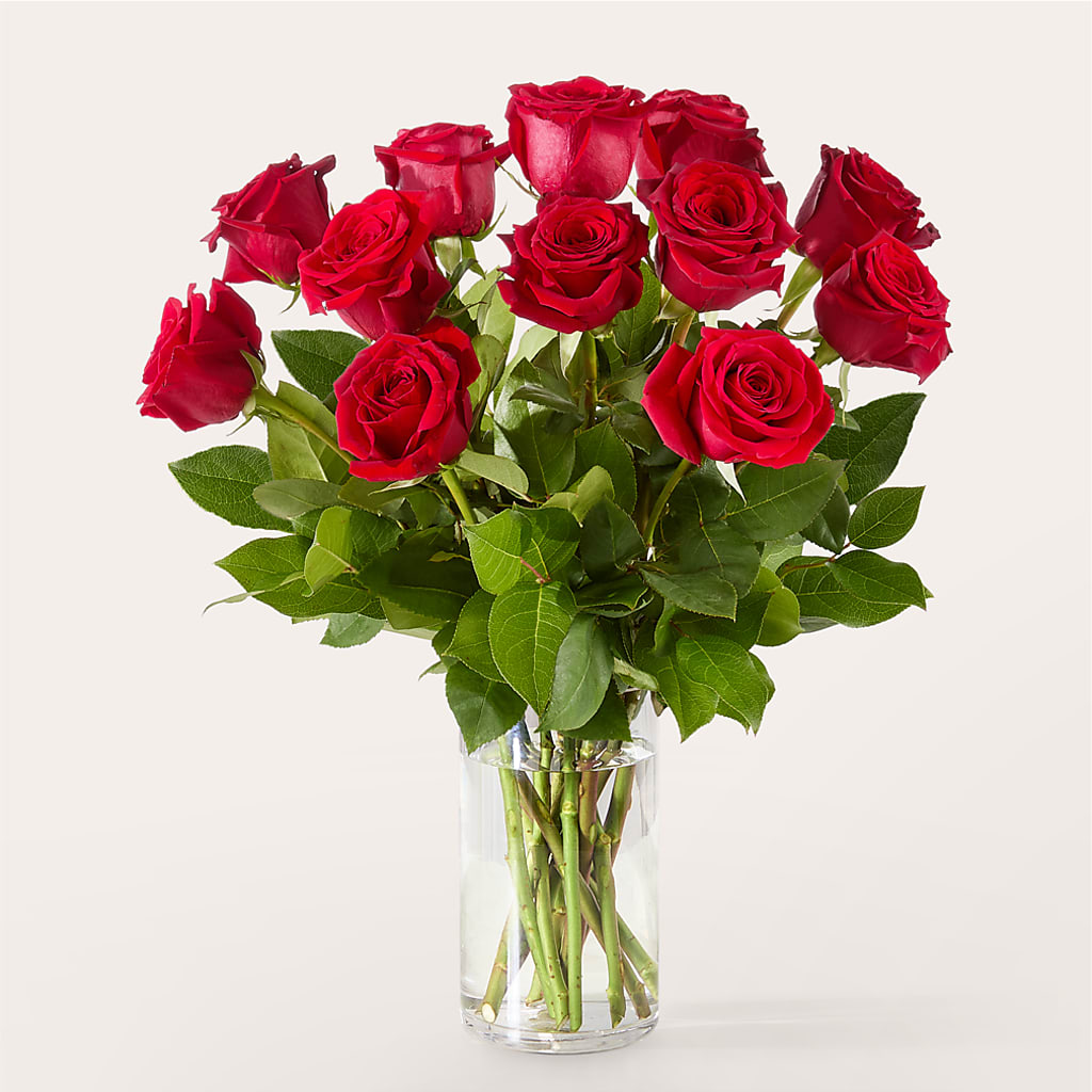 The One Red Rose Bouquet –  Greenwich Blooms Florist Inc, Greenwich CT
